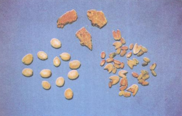 d1160924ab18972bd2ccfed1e9cd7b899e510a32.png d1160924ab18972bd2ccfed1e9cd7b899e510a32.png