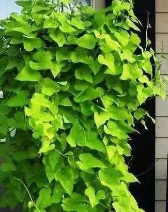 388192adf93d037af80c6c2b1bbf5b27.jpeg 388192adf93d037af80c6c2b1bbf5b27.jpeg